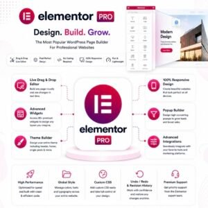 Elementor Pro